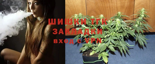 хмурый Белокуриха