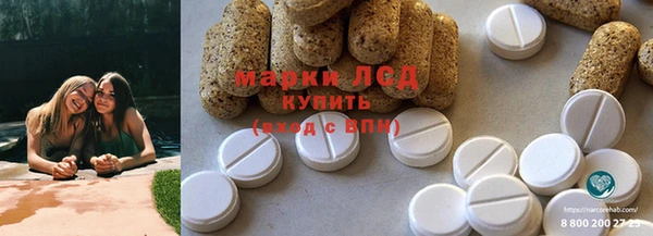 хмурый Белокуриха